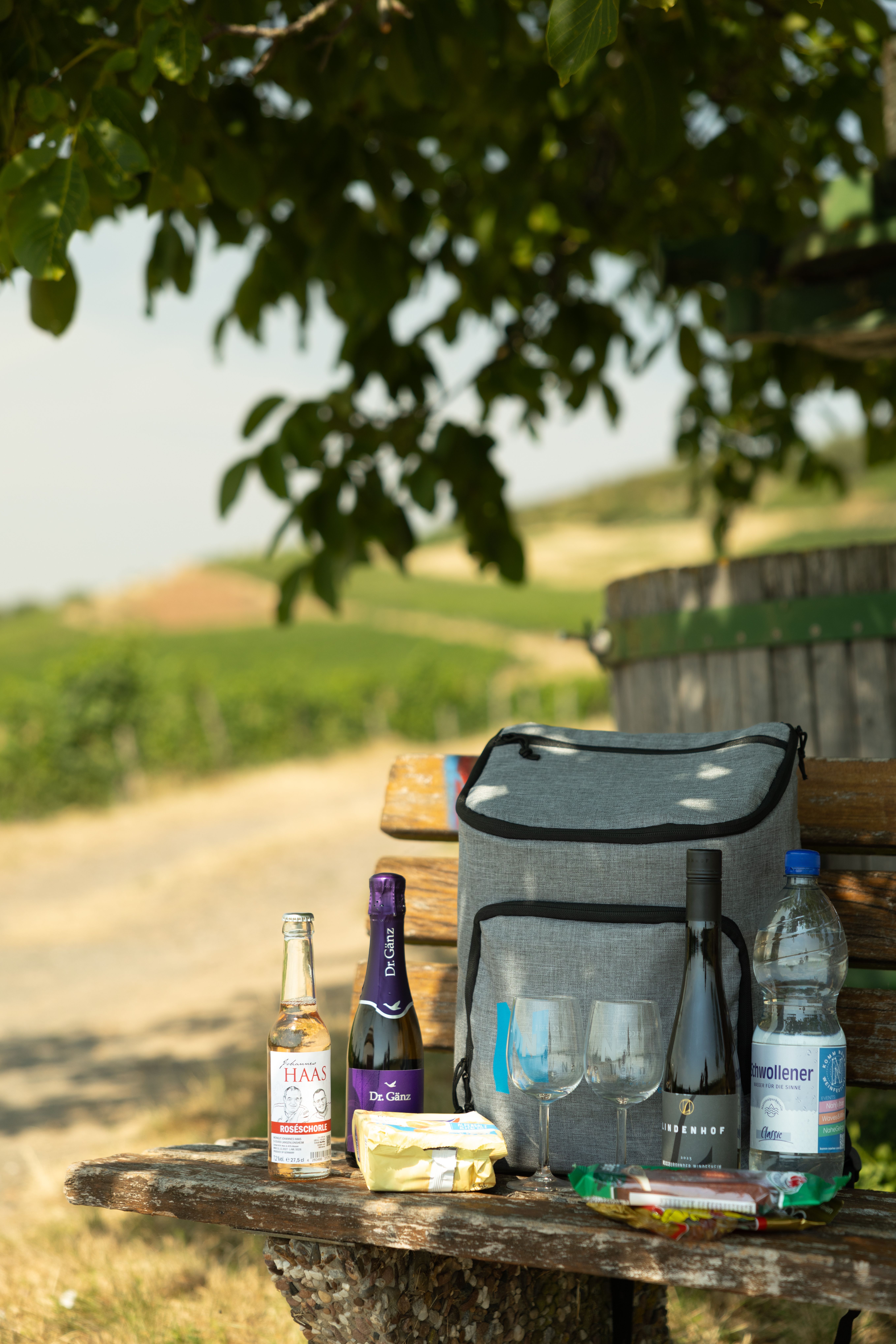 NaheWein-Wander-Rucksack Wald, Wein, Horizonte